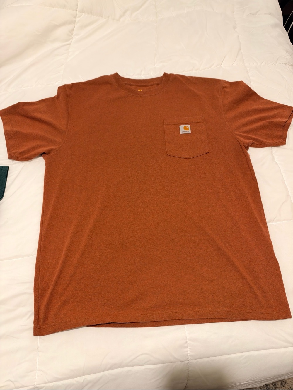 Carhartt Men's Pocket T-Shirt in Rust